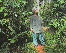 Photo of Tony in Jungle